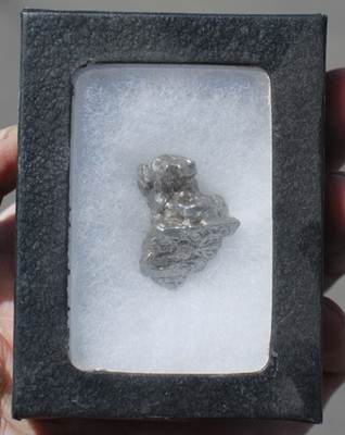 Campo Del Cielo iron Meteorite in Riker Mount   19 Grams