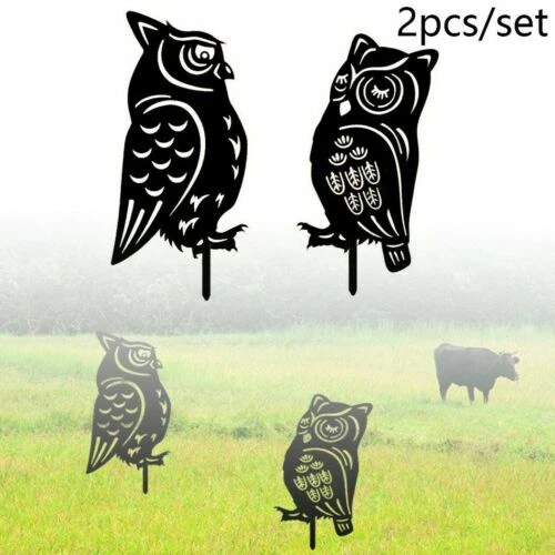 Vasi neri per la decorazione della casa