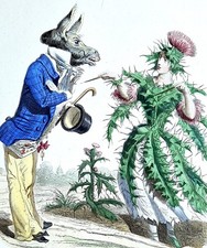 Gravure originale âne fleur de cactus art Grandville 1867 Donkey & Cactus flower