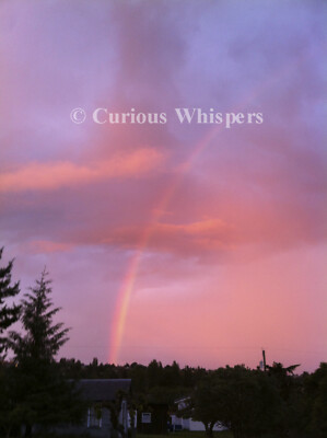 Set of 5 Greeting Cards - ''Get Down with a Sundown Rainbow'' - Port Townsend WA