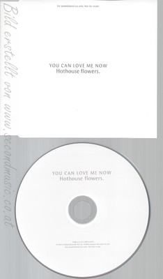 CD--HOTHOUSE FLOWERS--YOU CAN LOVE ME NOW--PROMO
