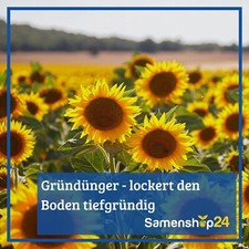 saatgut für pferdeweiden STRÖH Pferdeweide Kräuterbombe für Pferde 1kg Feedbox Dose – equidocs.de main image 0