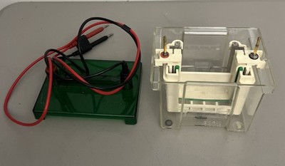 Bio-Rad Mini Protean 3 Cell Trans-Blot Electrophoresis System