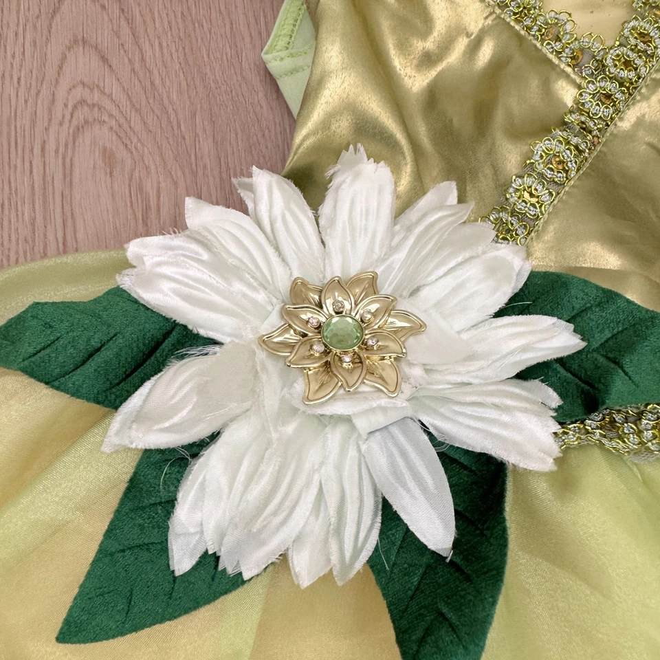 Disney Store Tiana Princess And The Frog Costume Child Size 3T EUC Halloween - Image 4 of 4