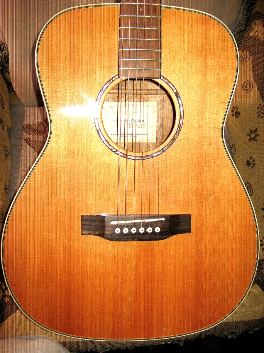 Takamine g501s outlet