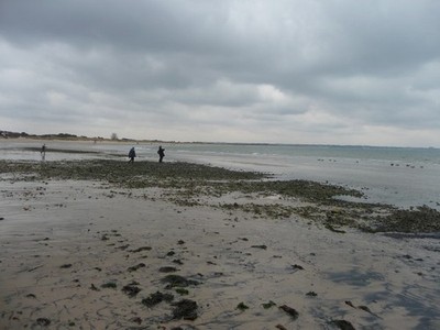 Foto A2 Studland Beach: Sandstrand & Küste Eine Frau macht ein paar Fotos c2010