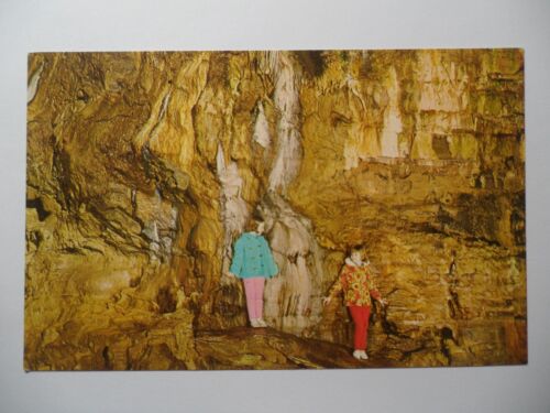 STAMPMART : USA NEW YORK HOWES CAVE BRONZE ROOM UNUSED POSTCARD