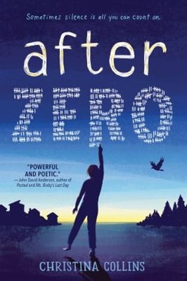 After Zero Paperback Christina Collins