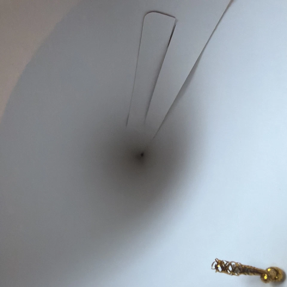 Sombreros de fiesta de papel Buc-ees 14 Total Beaver Dis diversión continua fiesta de cumpleaños Foto 3 de 4