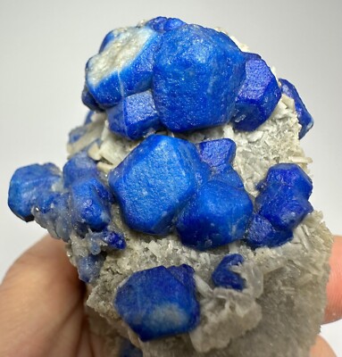 353 Gr Natural Lapis Lazuli Royal blue Lazurite Crystals Bunch Specimen @Afg