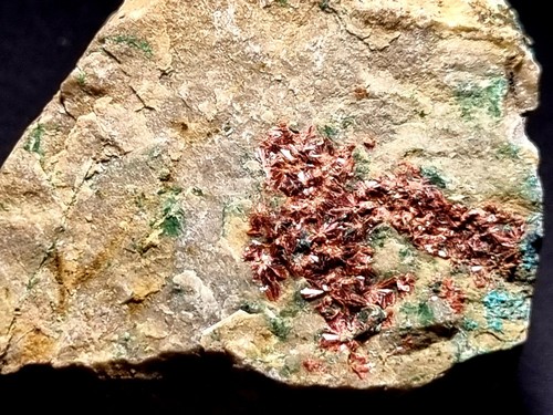 ☆127,g Erythrin Tyrolit Mikrokristalle💎Top Mineral⚒️La Encontrada Mine Spanien - Bild 8 von 12