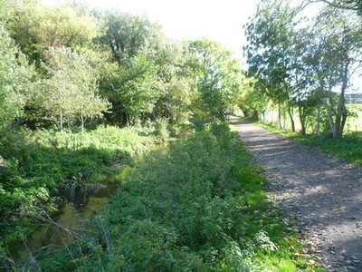 Foto A2 Hogsmill River und London LOOP im lokalen Naturschutzgebiet Hogsmill c2013
