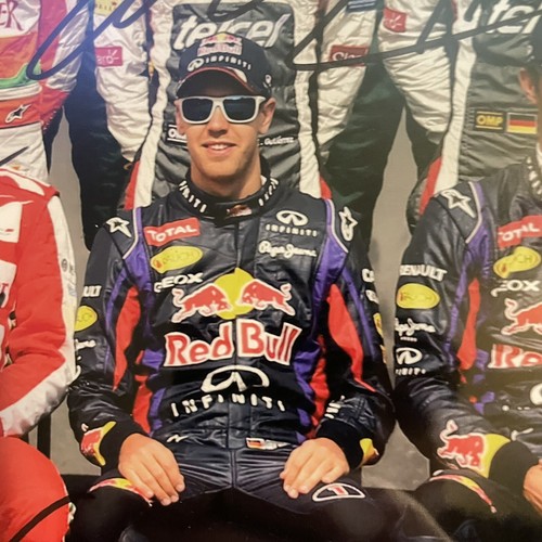 F1 Autographs Of Entire 2013 Field. All 22 Drivers - Signed In Person W/ COA - Picture 3 of 12