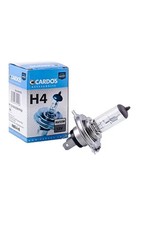 Ampoule Rover 416