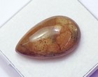 Foto 2 di 8