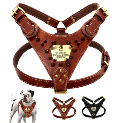 Genuine Leather Spiked Studded Dog Harness Durable with Custom Engraved  Name Tag