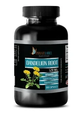 kidney support supplement human - DANDELION ROOT - dandelion capsules 1B