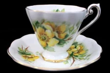 Royal Standard WILD ROSE Footed Cup & Saucer Bone China GREAT CONDITION