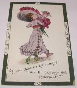 FOOLISH QUESTIONS Cobb Shinn "Do You Think It's Big Enough?" Vintage Postcard