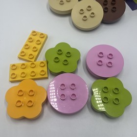 LEGO DUPLO Creative Picnic (10566) Incomplete