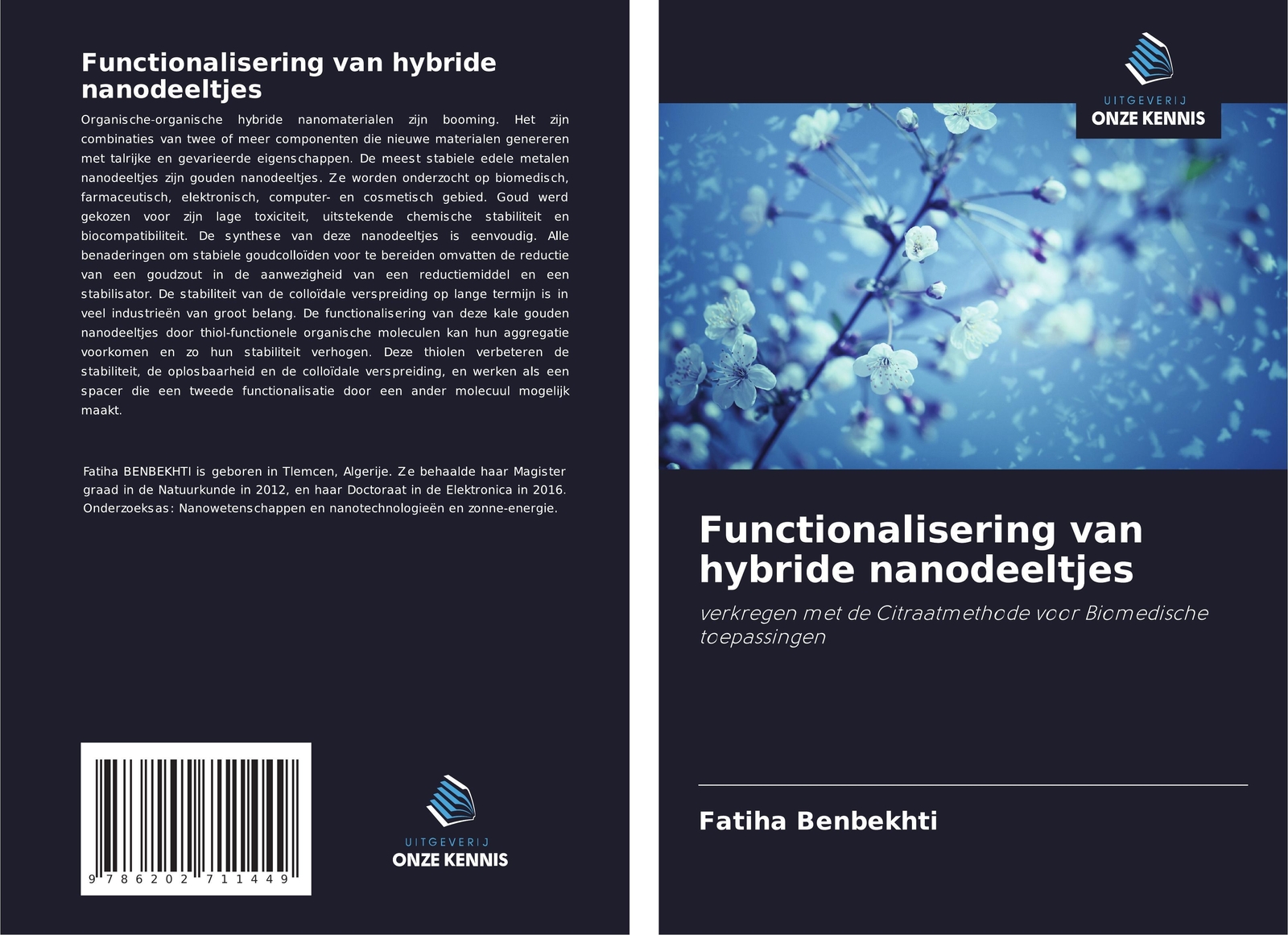 Functionalisering Van Hybride Nanodeeltjes | Fatiha Benbekhti |