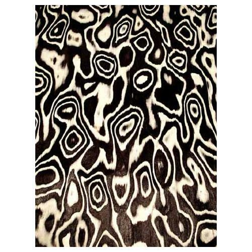 Tigre Placage 64cm Largeur Saraifo Affaire Rabais Offre
