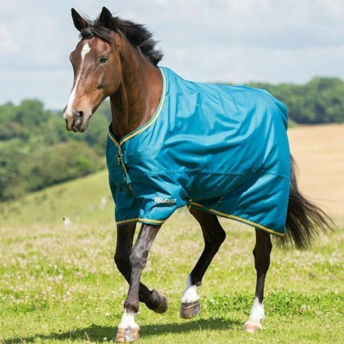 Shires 6' 9" Size Horse Turnout Rugs