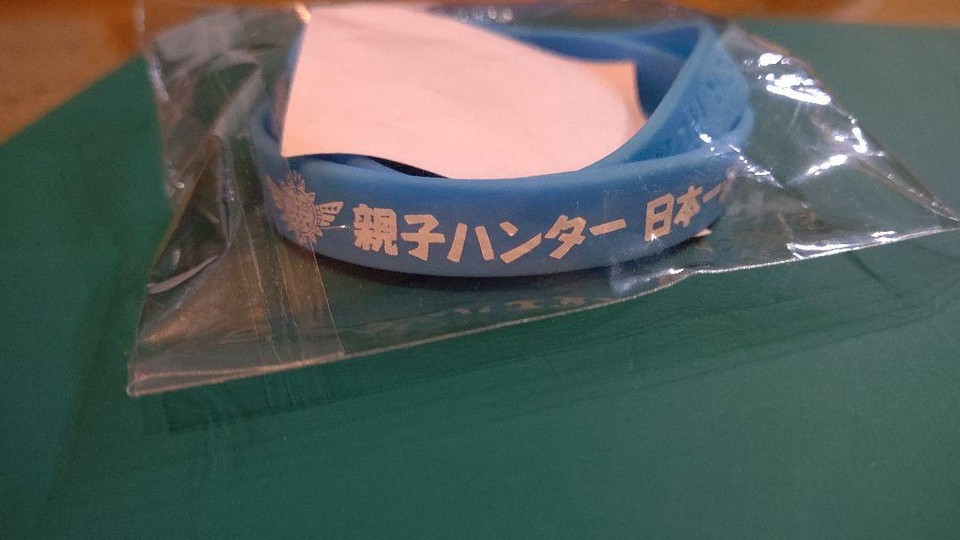 Monster Hunter Goods Pins Charm Band Limited Set Lot of 14 eBay