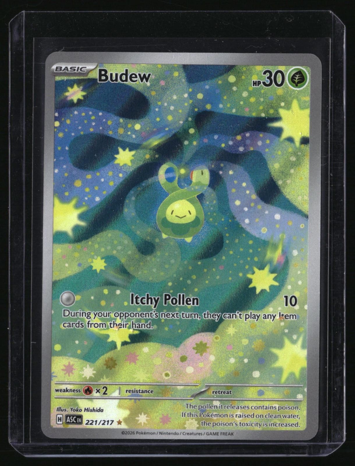 BUDEW 221/217 ILLUSTRATION RARE ASCENDED HEROES POKEMON HOLO NEAR MINT