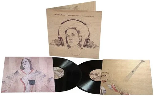 David Sylvian Vinyl Records for sale | eBay