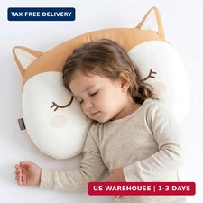 Toddler Pillow 2 to 6 Years Old, Made with Organic Cotton, Hypoallergenic Kids P