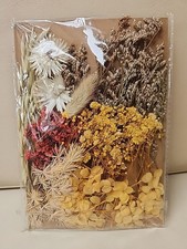 Dried Pressed Flowers Leaves Crafts Resin Scrapbook Junk Journal Autumn Boho NEW