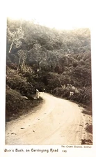 .Rare c1910 RPPC Real Photo Postcard. Weir’s Bush, Gerringong Rd.