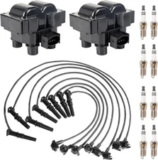 2 Ignition Coil 8 Motorcraft Spark Plug & Wire set for Ford F-150 4.6/5.0L FD487