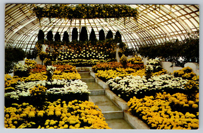 c1960s Cascade Garden Phipps Conservatory Pittsburgh PA Postcard