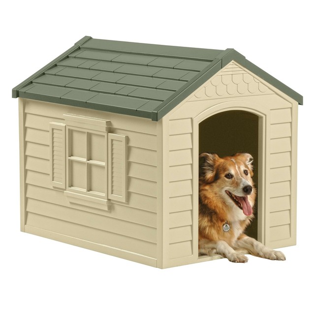 big dog house online