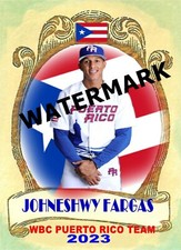 JOHNESHWY FARGAS PR FLAG  WORLD BASEBALL CLASSIC 2023 CUSTOM CARD
