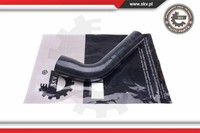 Esen SKV Ladeluftschlauch FüR Renault Laguna III Grandtour KT0/1 2.0 Dci BT0/1
