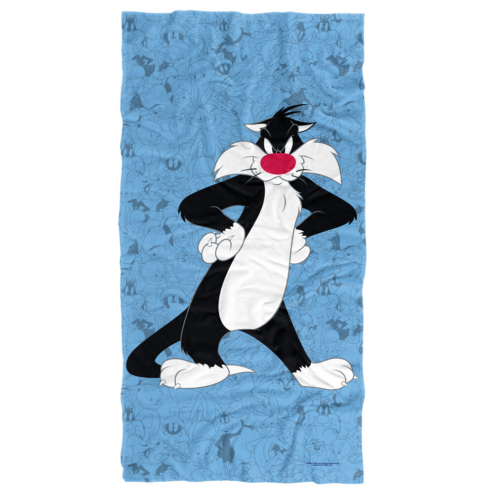 Looney Tunes Beach Towel, 30
