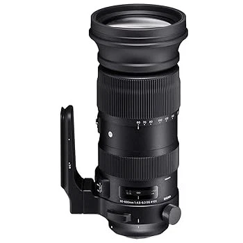 Sigma 60-600mm Focal Camera Lenses for sale | eBay