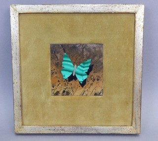 G Ugolini Firenze Stone Marble Mosaic Plaque Butterfly Italian Art MCM Framed Sm