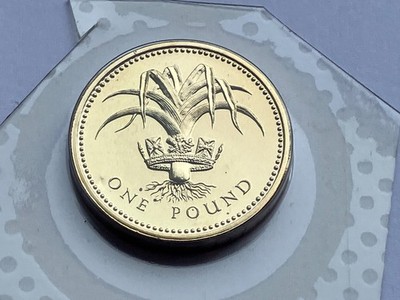 COIN WELSH LEEK ONE 1 POUND 1985 BRILLIANT UNCIRCULATED BU UNC