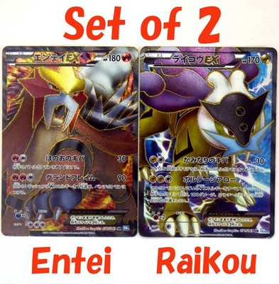Entei Raikou EX 071/069 070/069 BW4 1st ED Full ART SR TCG Japanese Pokemon Card