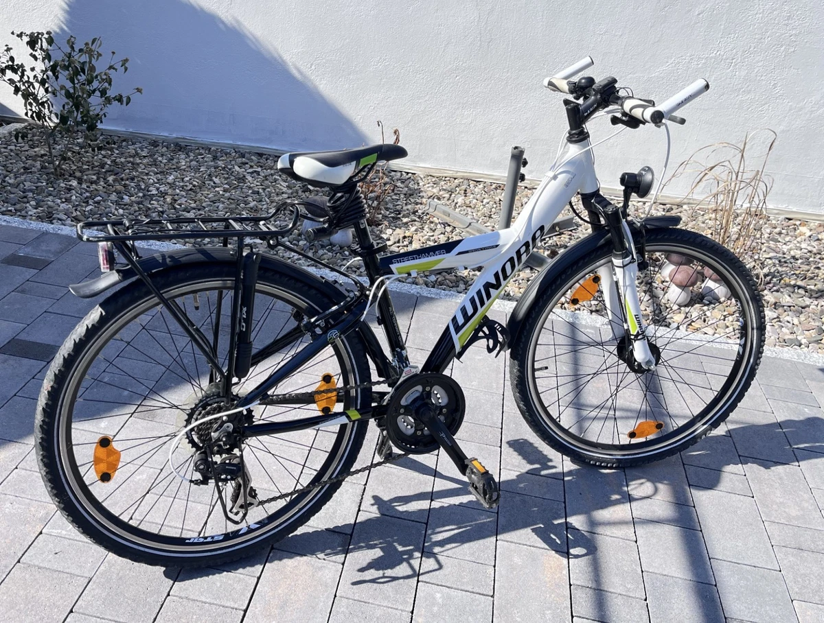 e-bike pedelec bis 25 km/h PIXAR Rusher Klapp Ebike 25km/h Getrocknete Pilze richtig lagern Color-bntgldmet/sldmet Farbe:nebula´n´white