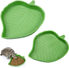 Food Bowl Reptile Water Rock Tortoise Gecko Lizard Amphibians Snakes Repti Dish