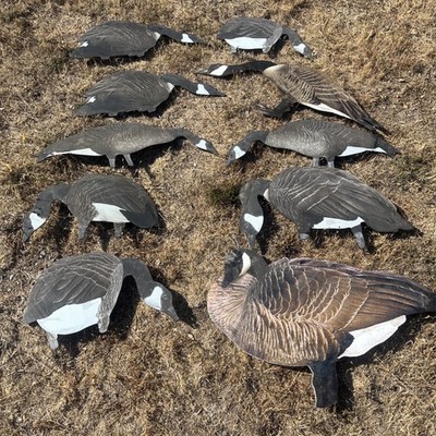 OUTLAW DECOY CANADIAN GOOSE GEESE SILHOUETTE x10 MADE IN USA