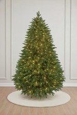 Balsam Hill Fraser Fir Artificial Christmas Tree Pe/pvc Tips (6ft Prelit)