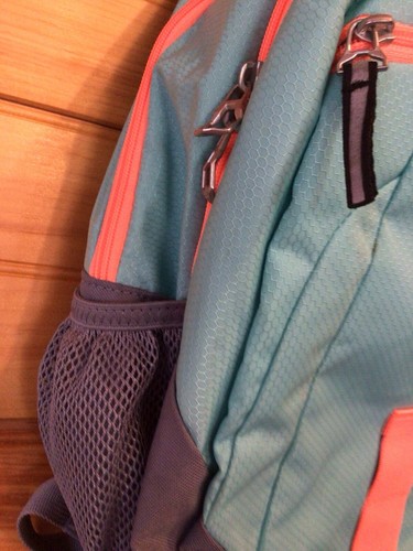 Adidas Bookbag Backpack Teal Salmon Gray Unisex Has Couple Spots Will Come Out - Picture 6 of 13