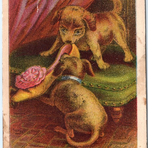 Vtg Puppy Dog Reynolds Brothers Shoes Trade Card Utica NY J.N. Carter Chicago IL