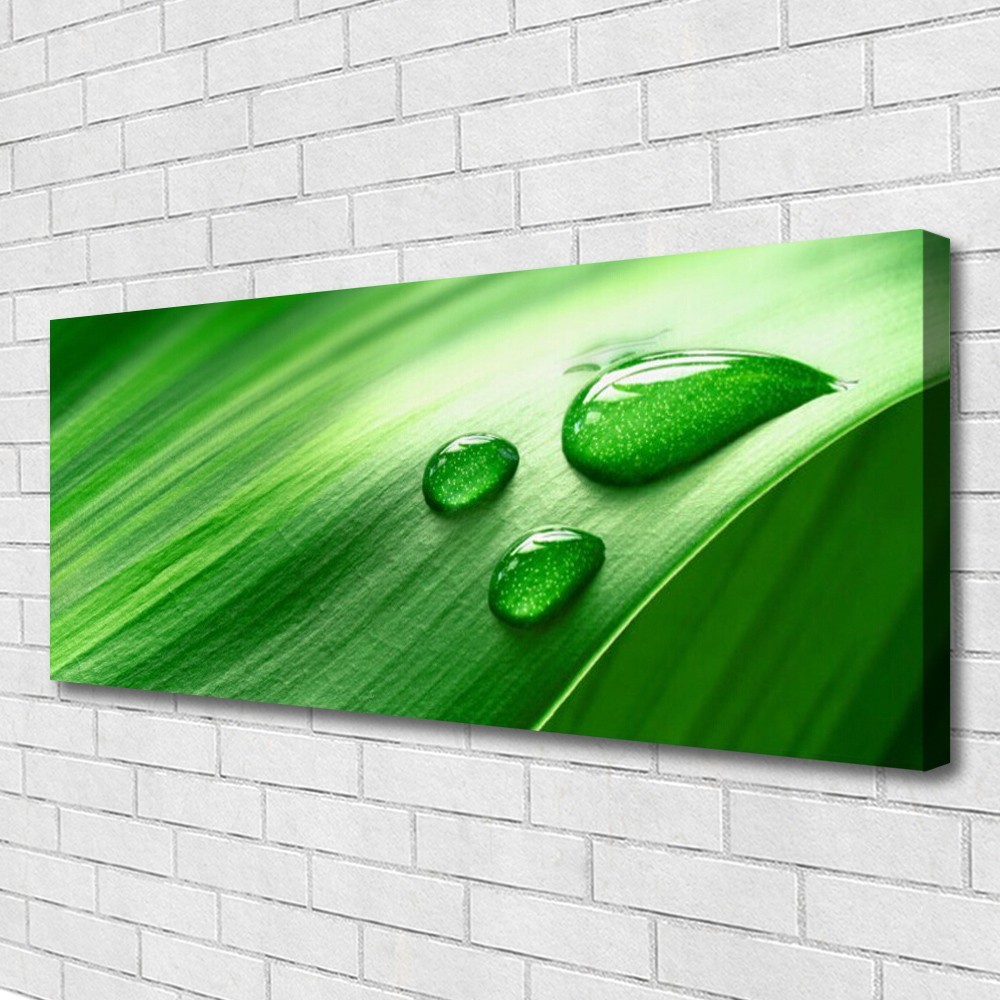 Impression sur toile floral de 125x50 cm, grand tableau moderne avec motif de feuille verte